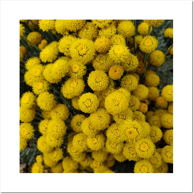 Yellow Flower Bunch Photography My Wall Art by ShubShank